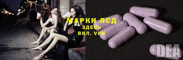 дживик Надым