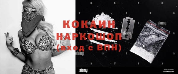 дживик Надым