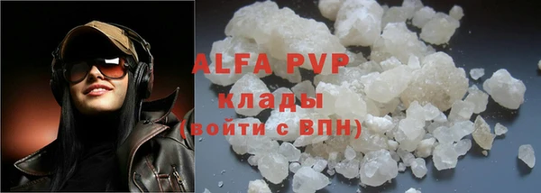 дживик Надым