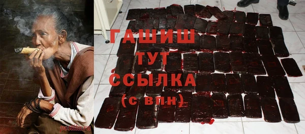 дживик Надым