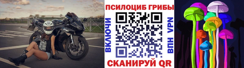 Галлюциногенные грибы мухоморы  даркнет сайт  Зеленоградск 